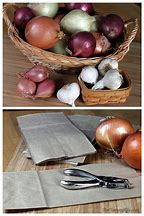 Image result for Ways to Store Onions