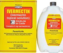 Image result for Ivermectin Pour On