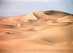 Image result for Desert Tan Texture