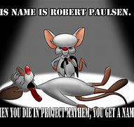 Image result for Pinky and the Brain Dart Meme