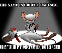 Image result for Pinky and the Brain Birthday Meme