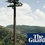 Image result for Cell Phone Tower Looks Like Tree