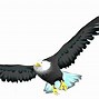 Image result for Philadelphia Eagles Logo Clip Art