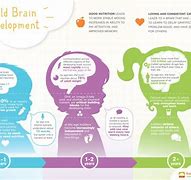 Image result for Child Brain Development
