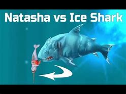 Image result for Narwhal vs Shark