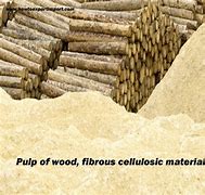 Image result for Wood Pulp Fiber