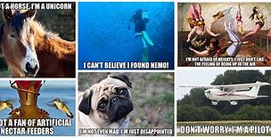 Image result for Ml and Ai Memes