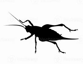 Image result for Cricket Silhouette