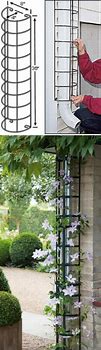 Image result for Clematis Trellis Ideas