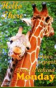 Image result for Happy Monday Giraffe