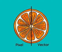 Image result for Pixel vs Vector Images