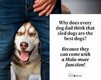 Image result for Dog Dad Jokes