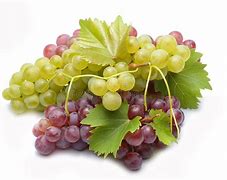 Image result for Red and Green Grapes