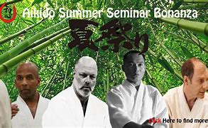 Image result for Aikido Cookville