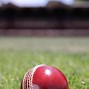 Image result for Cricket Field Grass