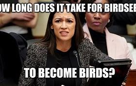 Image result for AOC Meme No Brain