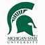 Image result for Michigan State College Football Logo