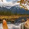 Banff National Park 的图像结果