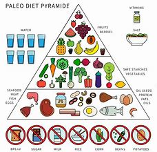 Image result for Paleo Diet Chart
