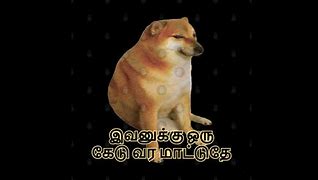 Image result for Trending Memes Cheems Tamil