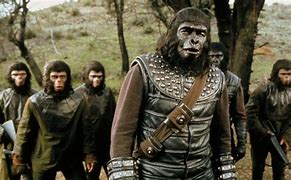 Image result for Planet of the Apes Riot