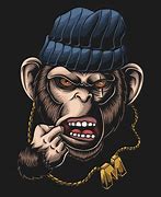 Image result for Gangster Monkey