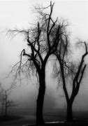 Image result for Gothic Tree Black Background