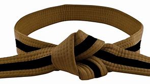 Image result for Martial Arts Belts