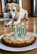 Image result for Large Dog Birthday Image