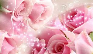 Image result for Pretty Pink Roses Backgrounds