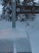 Image result for 11 Inches of Snow