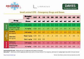 Image result for Animal CPR Drug List Chart