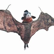 Image result for Fruit Bat Art