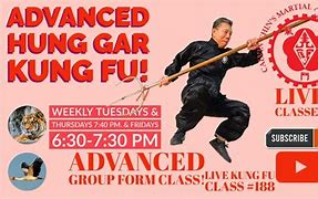 Image result for Hung Gar Kung Fu Styles