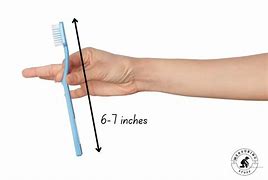 Image result for Object of 6 Inches High