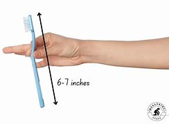 Image result for Things Longer than 6 Inches