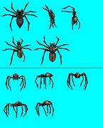 Image result for Spider Realistic Sprite Sheet