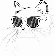 Image result for Cool Cat with Shades