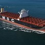 Image result for MSC Oscar Container Ship