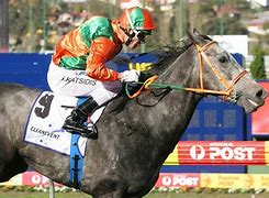 Image result for Bold Gold Race Horse