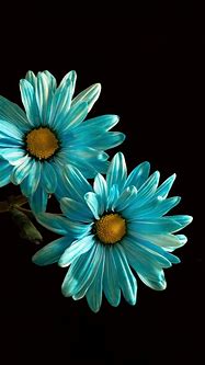 Image result for Kindle Fire Wallpaper Flowers