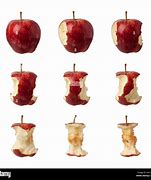 Image result for Apple Eating Stages