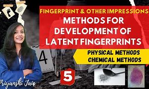 Image result for Fingerprint Development