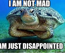 Image result for Not Mad Just Disappointed Meme