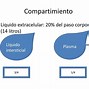 Image result for compartimiento