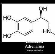 Image result for adrdnalina