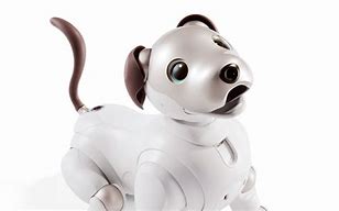 Image result for Aibo Companion Robot