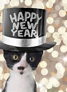 Image result for Happy New Year Fuuny