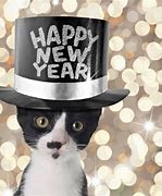 Image result for Happy New Year Funny Pics