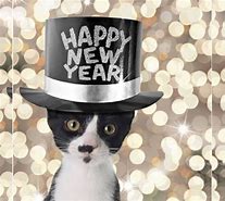 Image result for Funny Happy New Year 2018